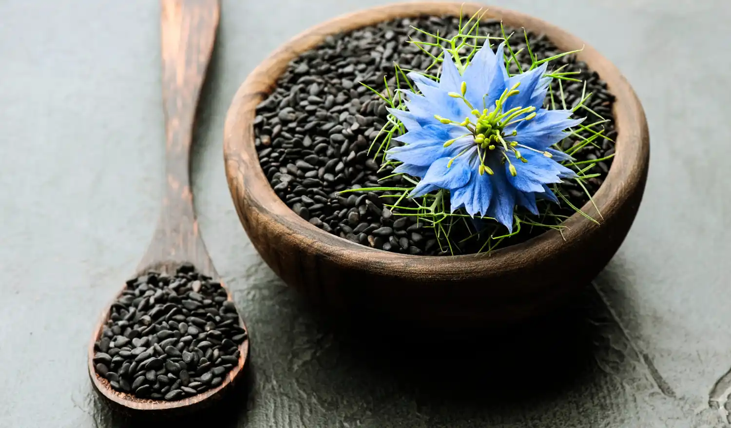Graine nigelle