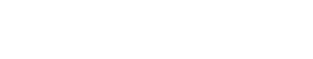 logo light